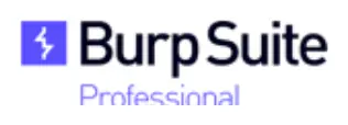 Burp Suite Professional